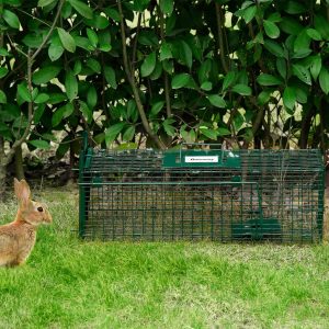 Armadilha para Animais Vivos com Porta Gaiola, Alça de Transporte 60x18x20cm Verde Escuro